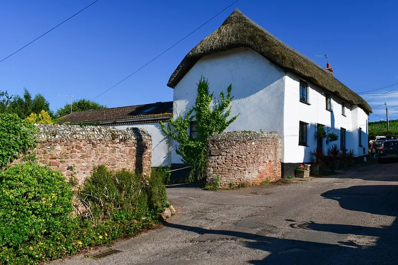 Devon Conway Net Worth 2026 - How New Zealand's Batting Maestro Crafted His $8 Million Cricket Fortune